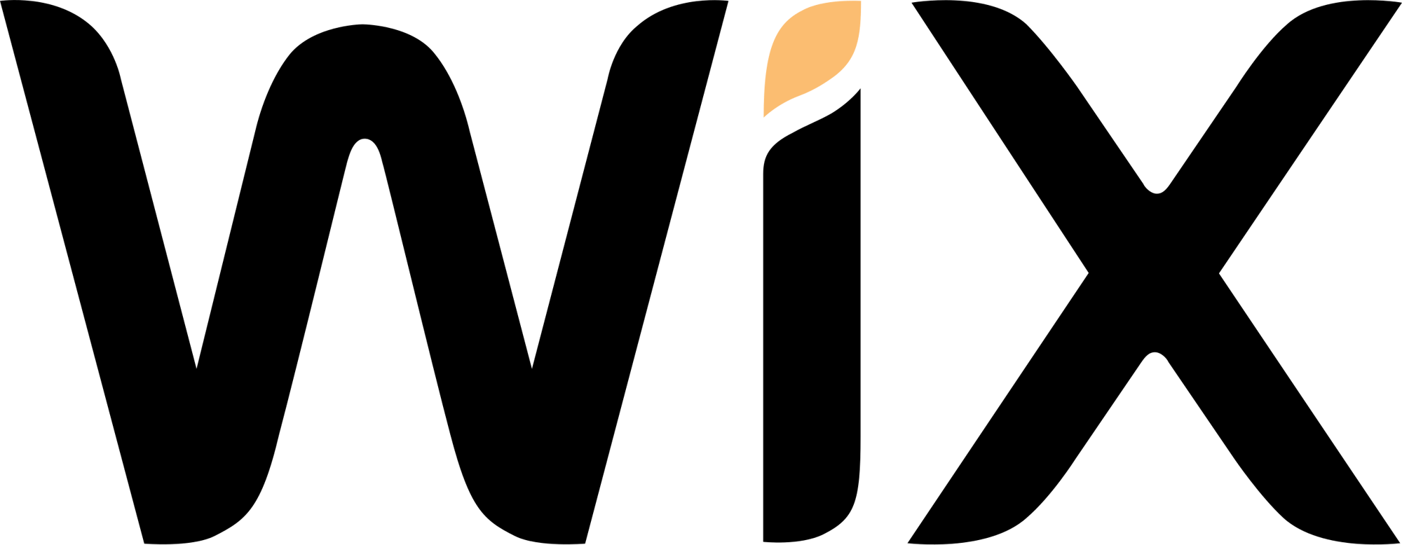 wix website development